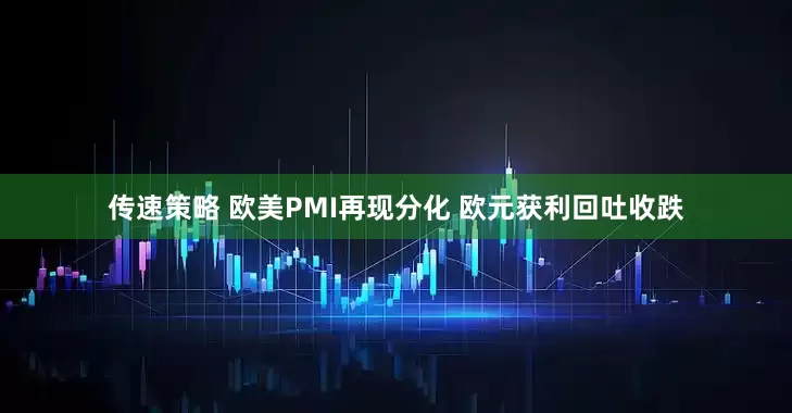 传速策略 欧美PMI再现分化 欧元获利回吐收跌