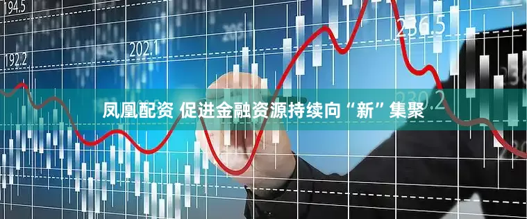 凤凰配资 促进金融资源持续向“新”集聚
