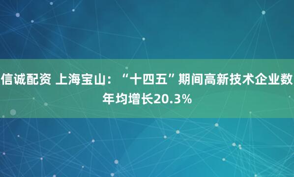 信诚配资 上海宝山：“十四五”期间高新技术企业数年均增长20.3%