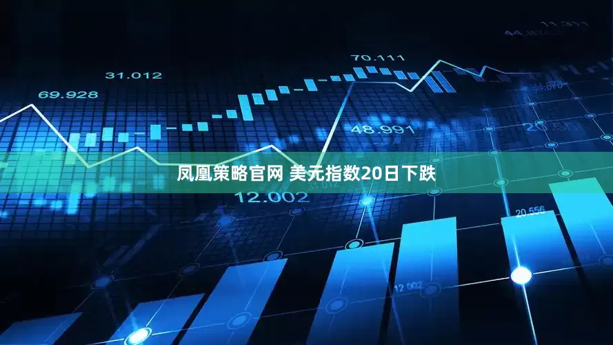 凤凰策略官网 美元指数20日下跌