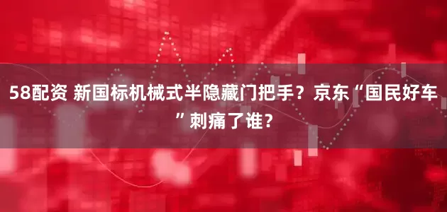 58配资 新国标机械式半隐藏门把手？京东“国民好车”刺痛了谁？