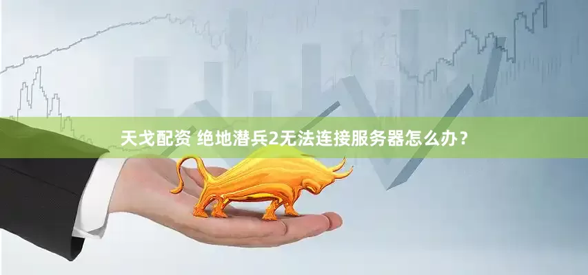 天戈配资 绝地潜兵2无法连接服务器怎么办？